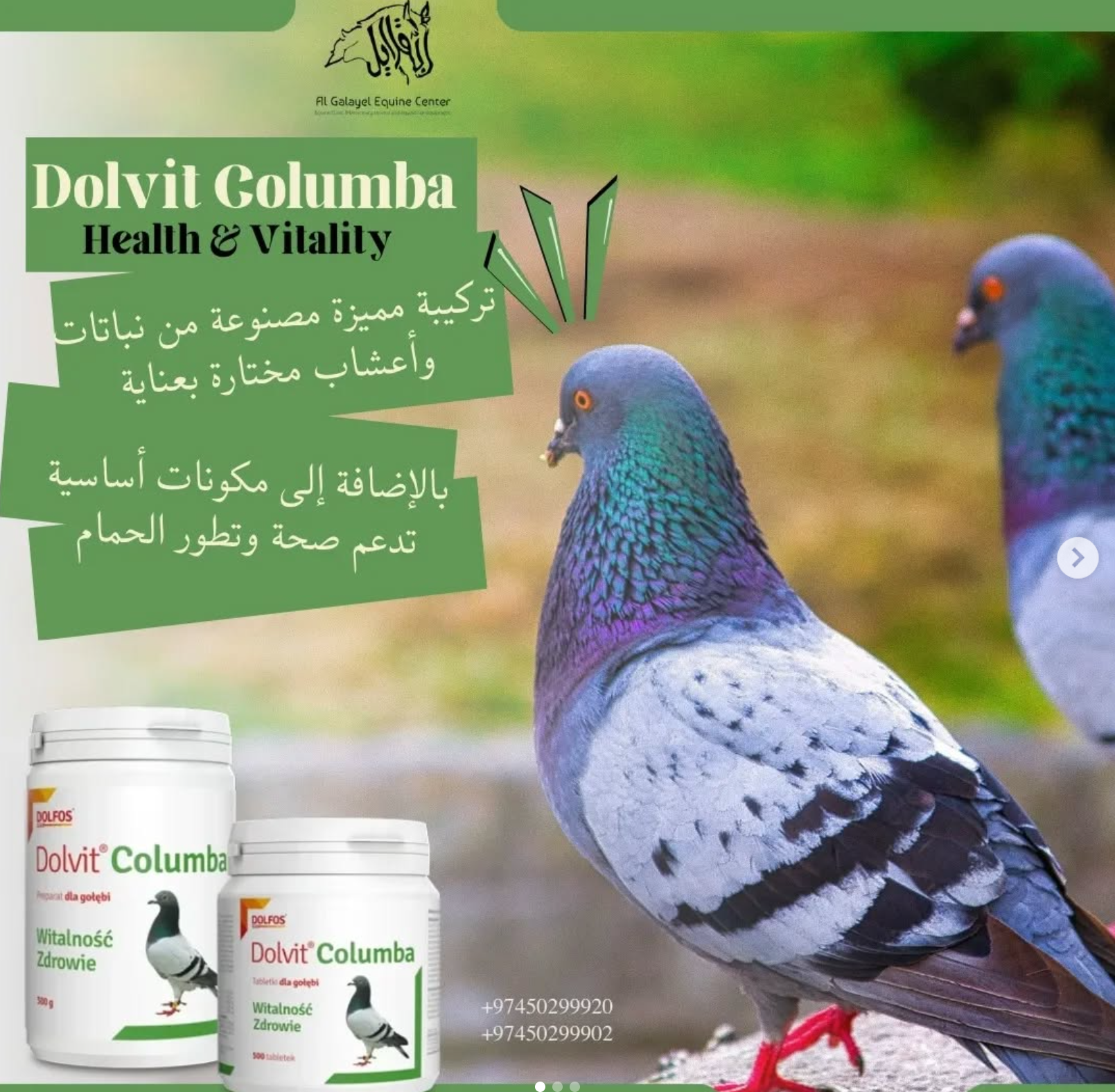 Instagram post from pets